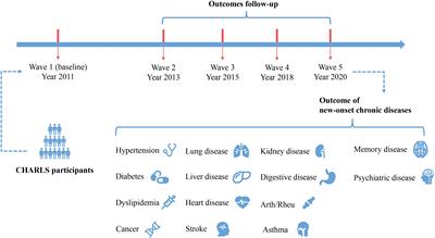 Cardiometabolic index and the risk of new-onset chronic diseases: results of a national prospective longitudinal study